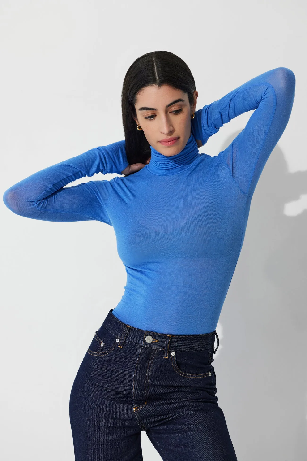 Eloise Sheer Turtleneck